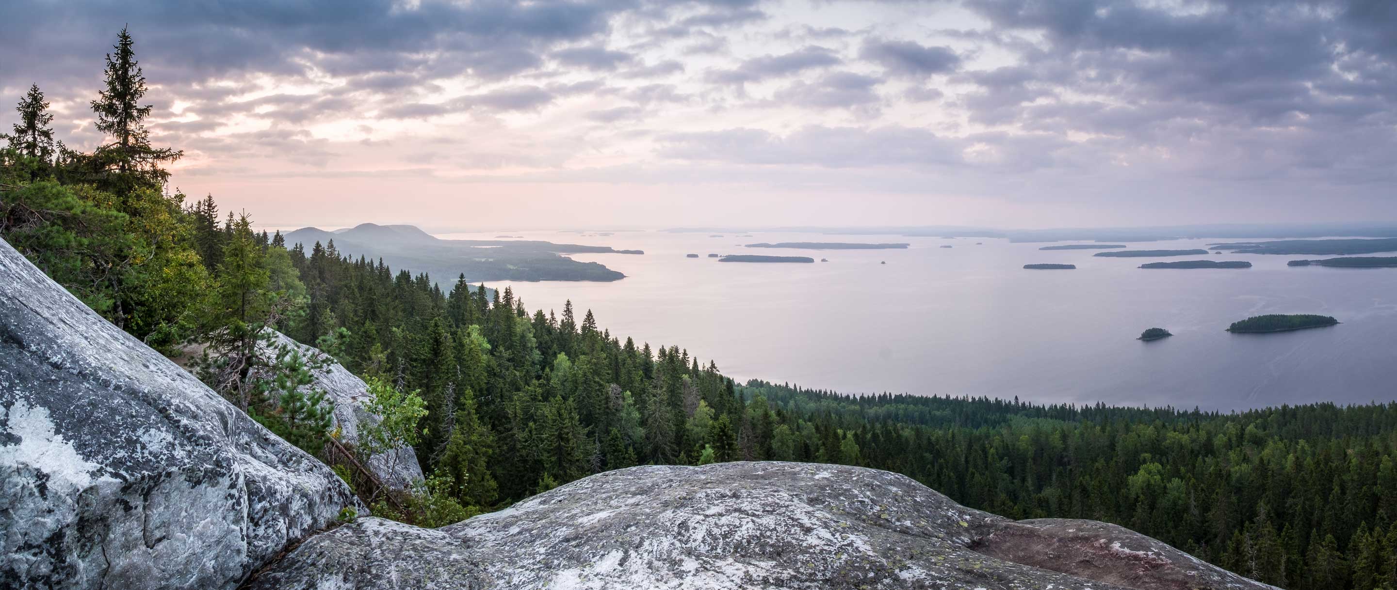 Koli